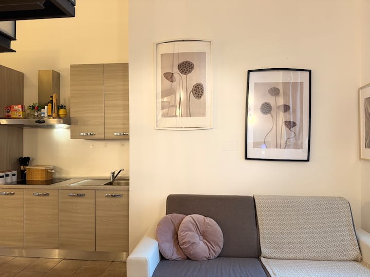 მისაღები ორადგილიანი გასაშლელი დივნით, სრულყოფილი სამზარეულოთი და სასადილო ზონით