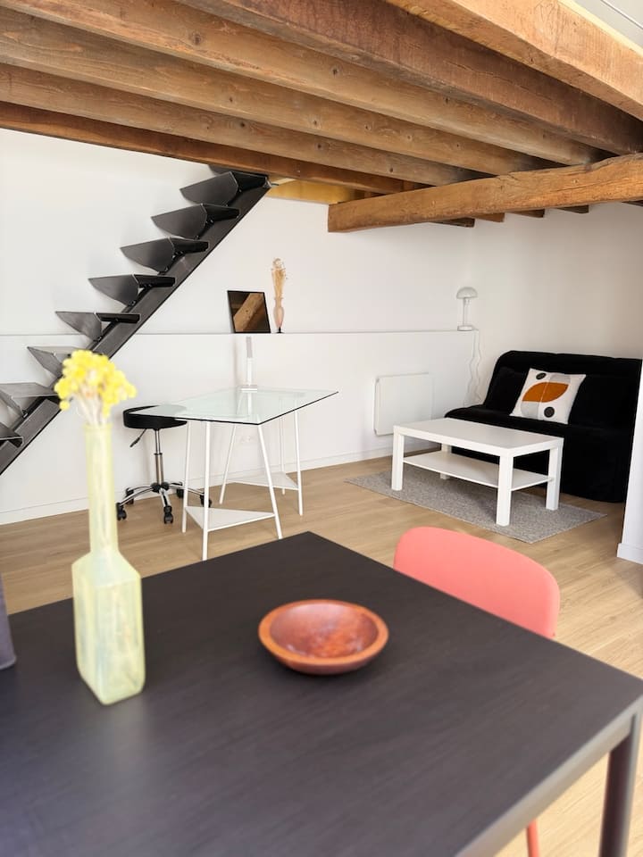 Loft Lumineux Avec Mezzanine - Tonnerre