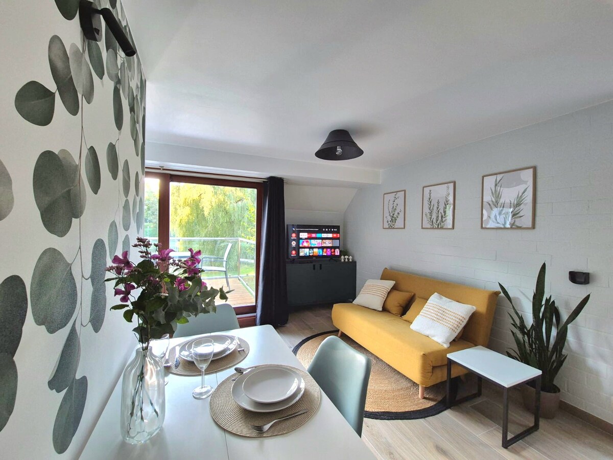 Popular Airbnb listing: Lake-view studio in Vielsalm