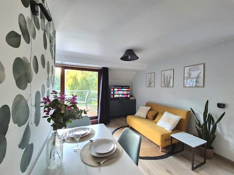 Popular Airbnb listing: Lake-view studio in Vielsalm