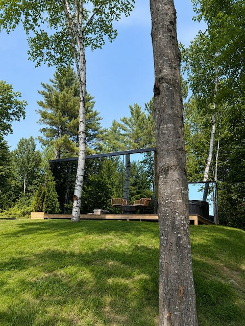 Birch Mirror House at FarAway Pond