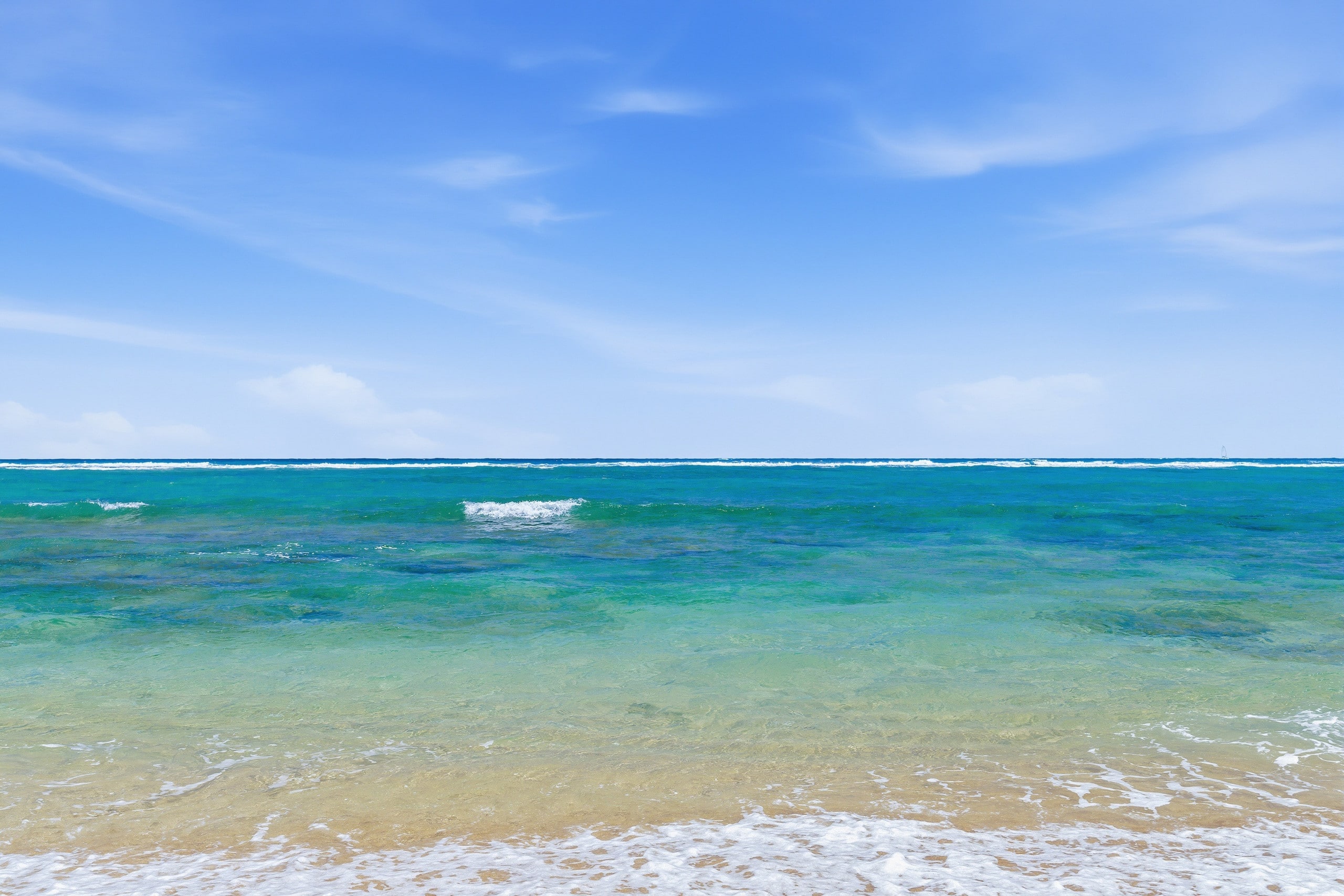 Condo in Kapaa · ★4.83 · 1 bedroom · 2 beds · 2 baths - Image 35