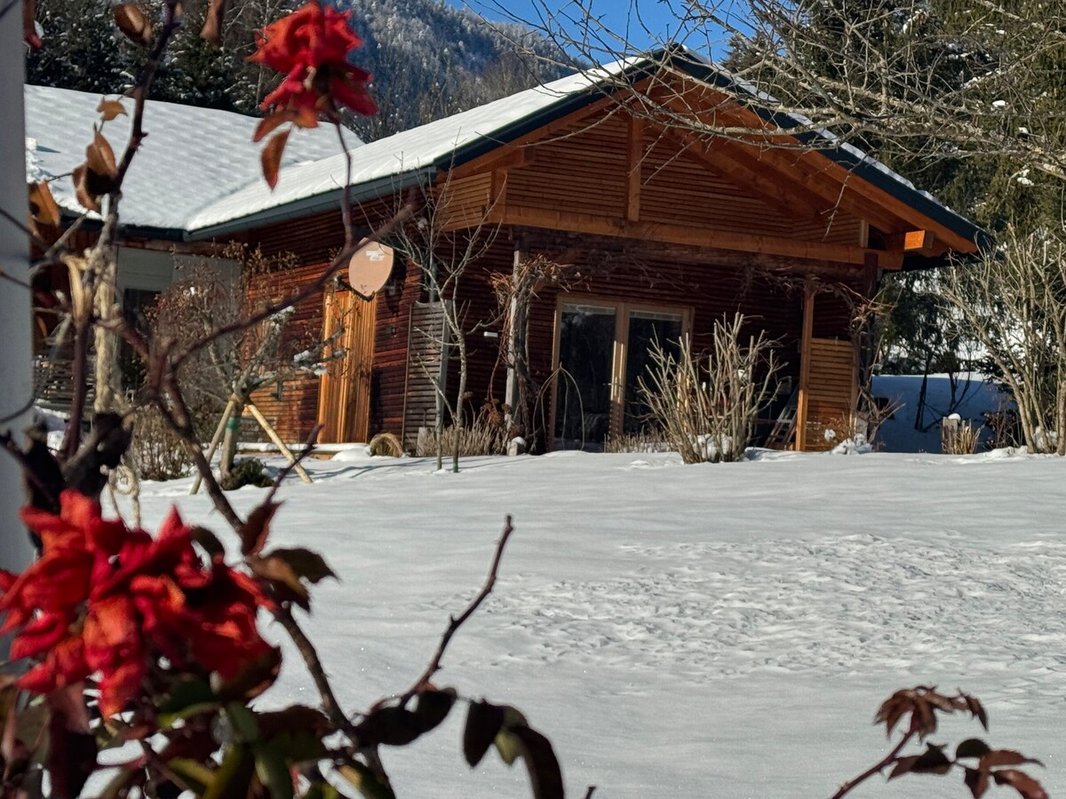 A wooden chalet features a sloped roof and expansive windows, surrounded by a snowy landscape. Bright red flowers add a splash of color in the foreground, contrasting with the white snow. A serene mountain backdrop completes the tranquil setting.