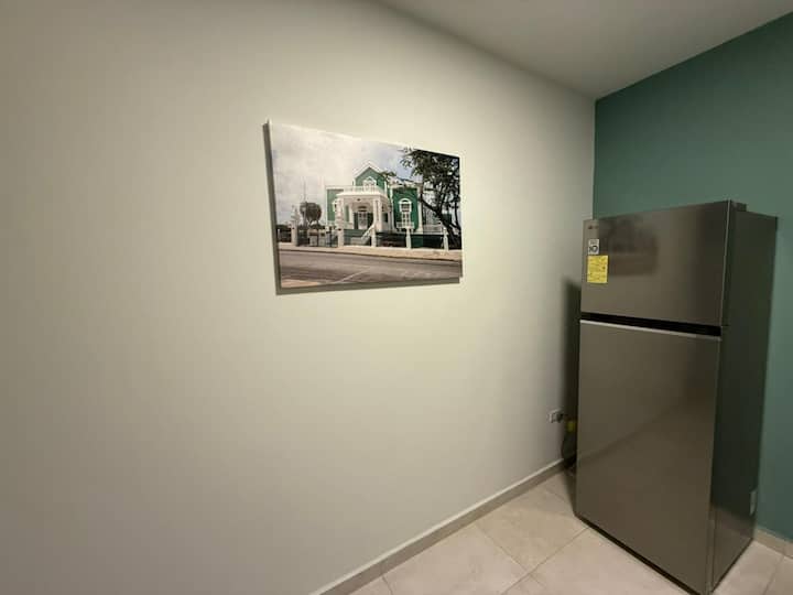 Free Electric Car Incl Apartment-private @ Arikok - Aruba
