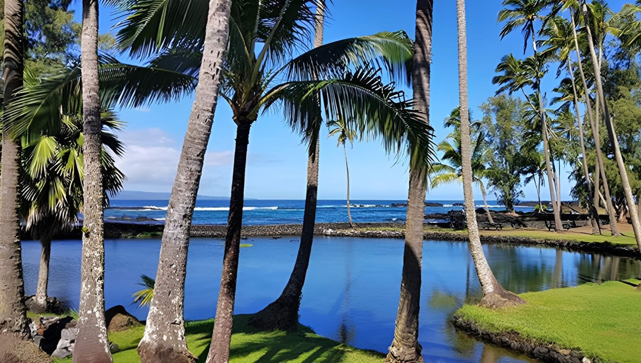 Hotel in Hilo · ★4.75 · 1 bedroom · 1 private bath - Image 9