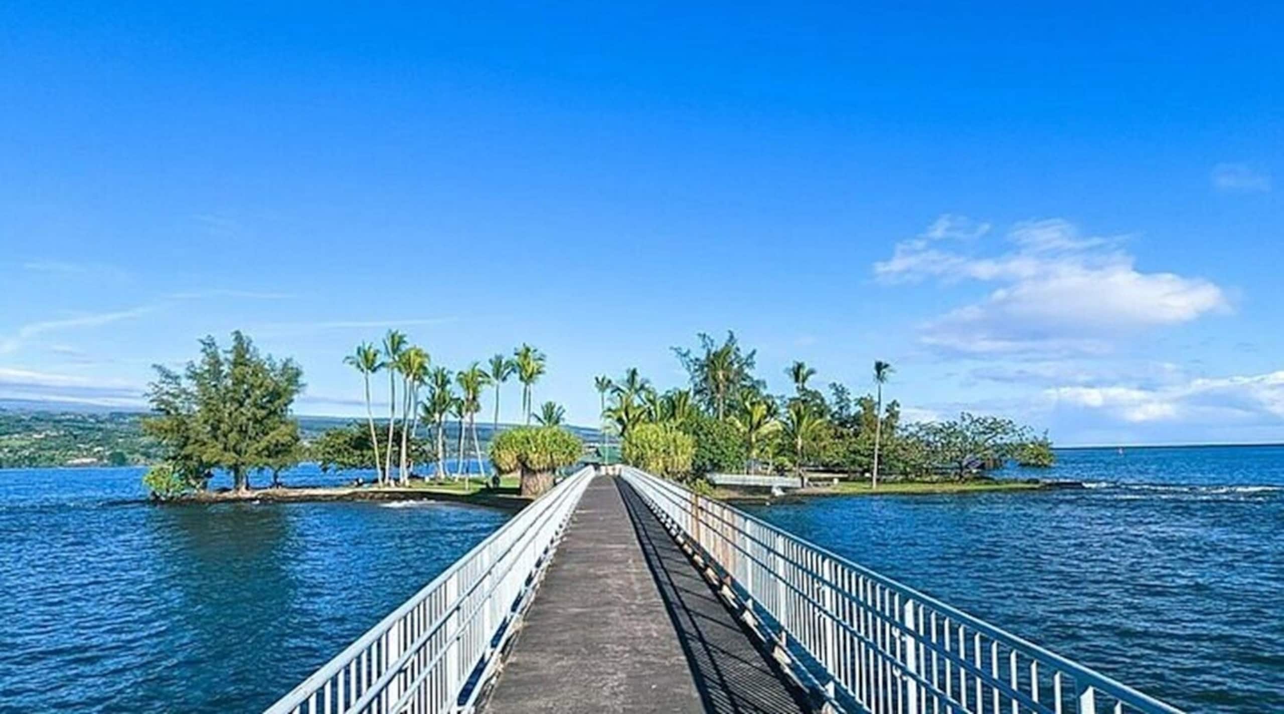 Hotel in Hilo · ★4.75 · 1 bedroom · 1 private bath - Image 7
