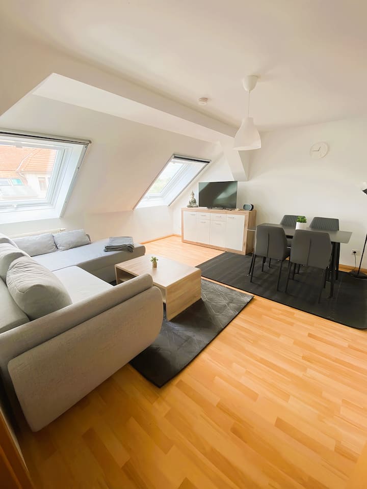 Gemütliches Altbauapartment Iii - Chemnitz