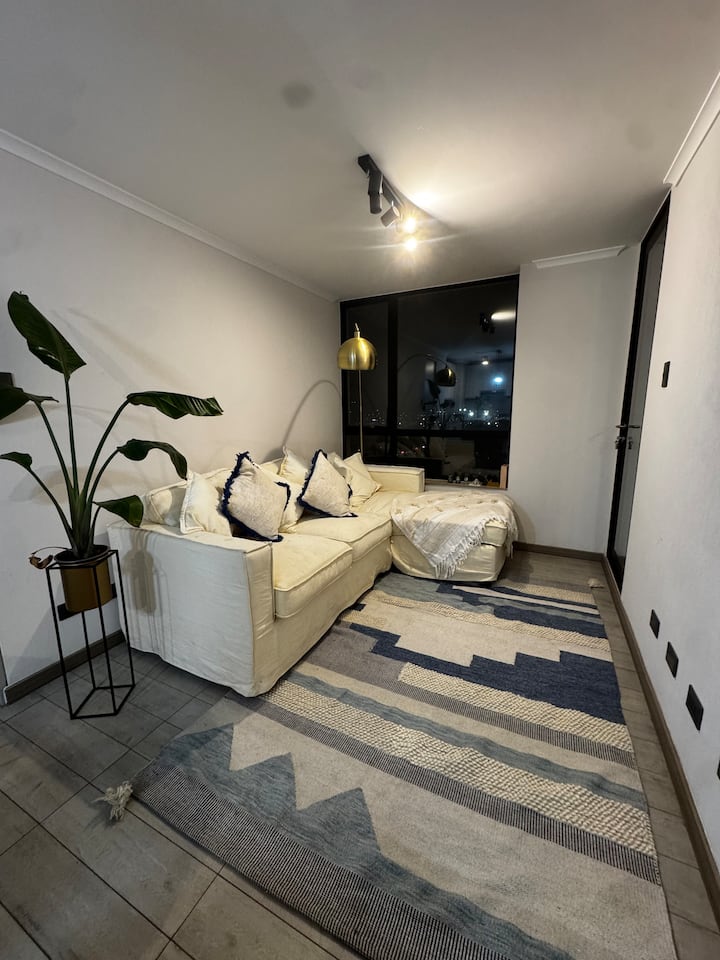Depto. Acogedor Estilo Mariposa Privado Y Céntrico - Concepción, Chile