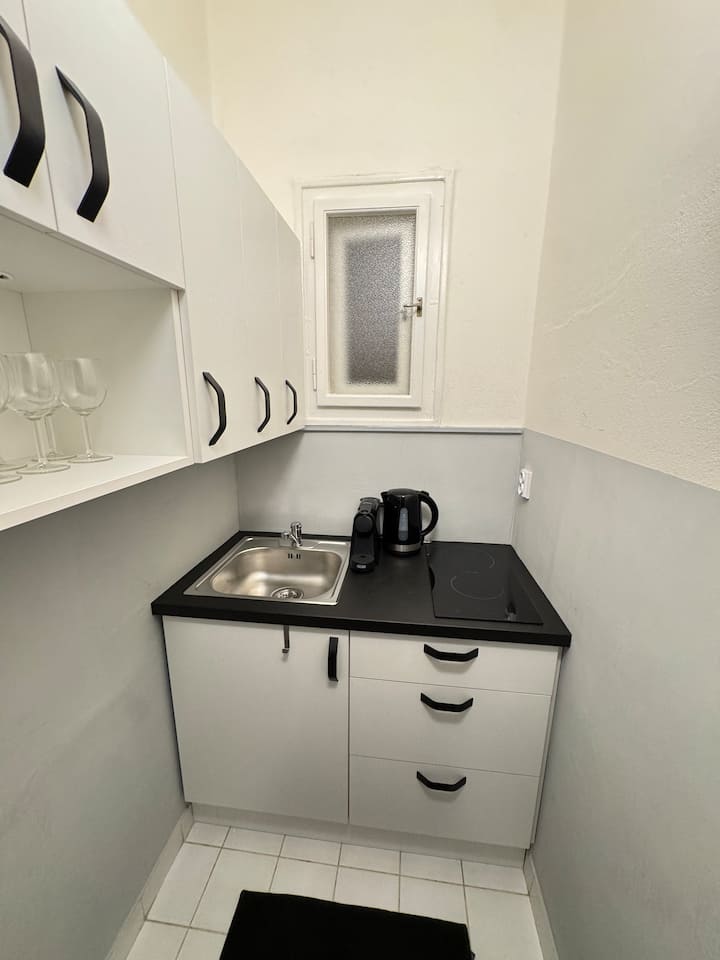 New City Center Flat- With 2 Bedrooms - Praga