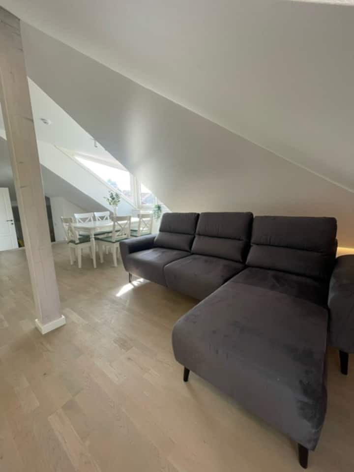 Luxury Central Two Bedroom Apartment - Kaunas