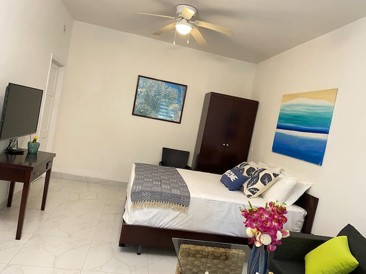 Cozy Studio # 5 in Venetian Breeze