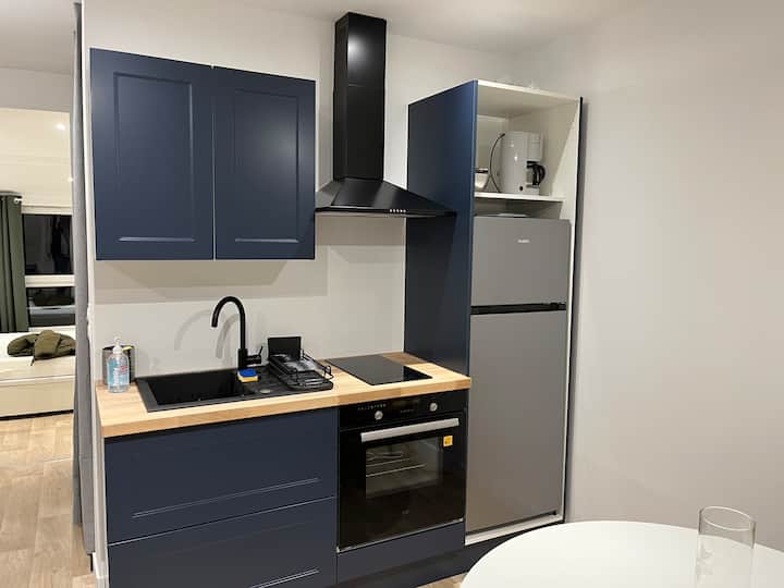 Charmant Appartement Au Cœur De Saint-étienne - Saint-Étienne