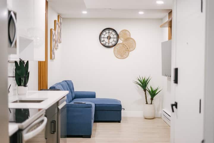 Modern & Stylish 1br Suite - Regina