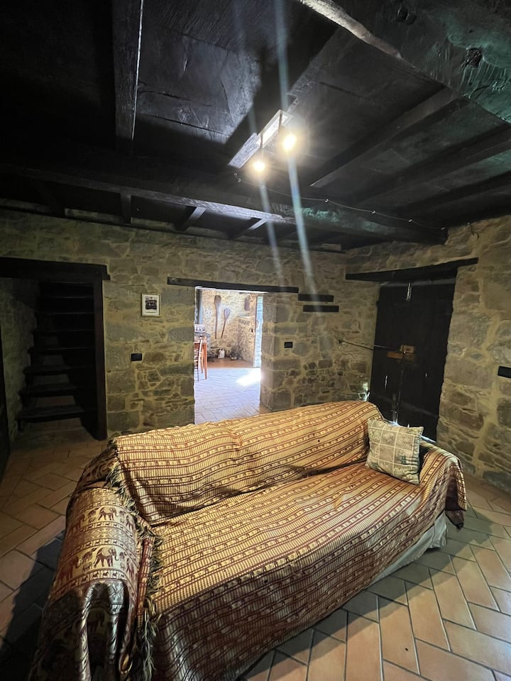 Casa Nel Bosco - Castelnuovo di Garfagnana