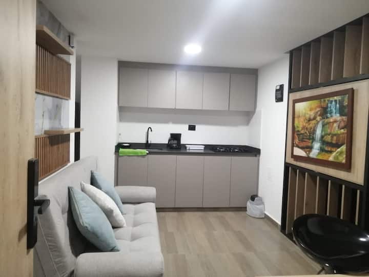 Loft, Gimnasio, Wifi 900mg, Coworking Incluido - Popayán