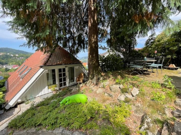 The little Black Forest house