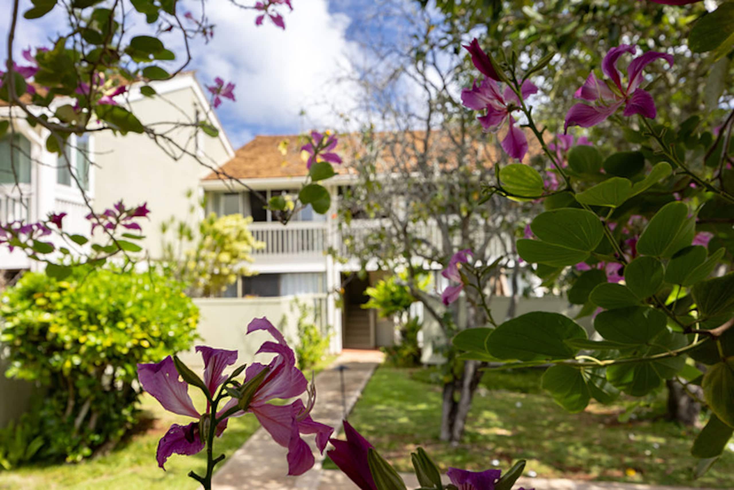 Home in Kahuku · ★5.0 · 1 bedroom · 2 beds · 1 private bath - Image 50