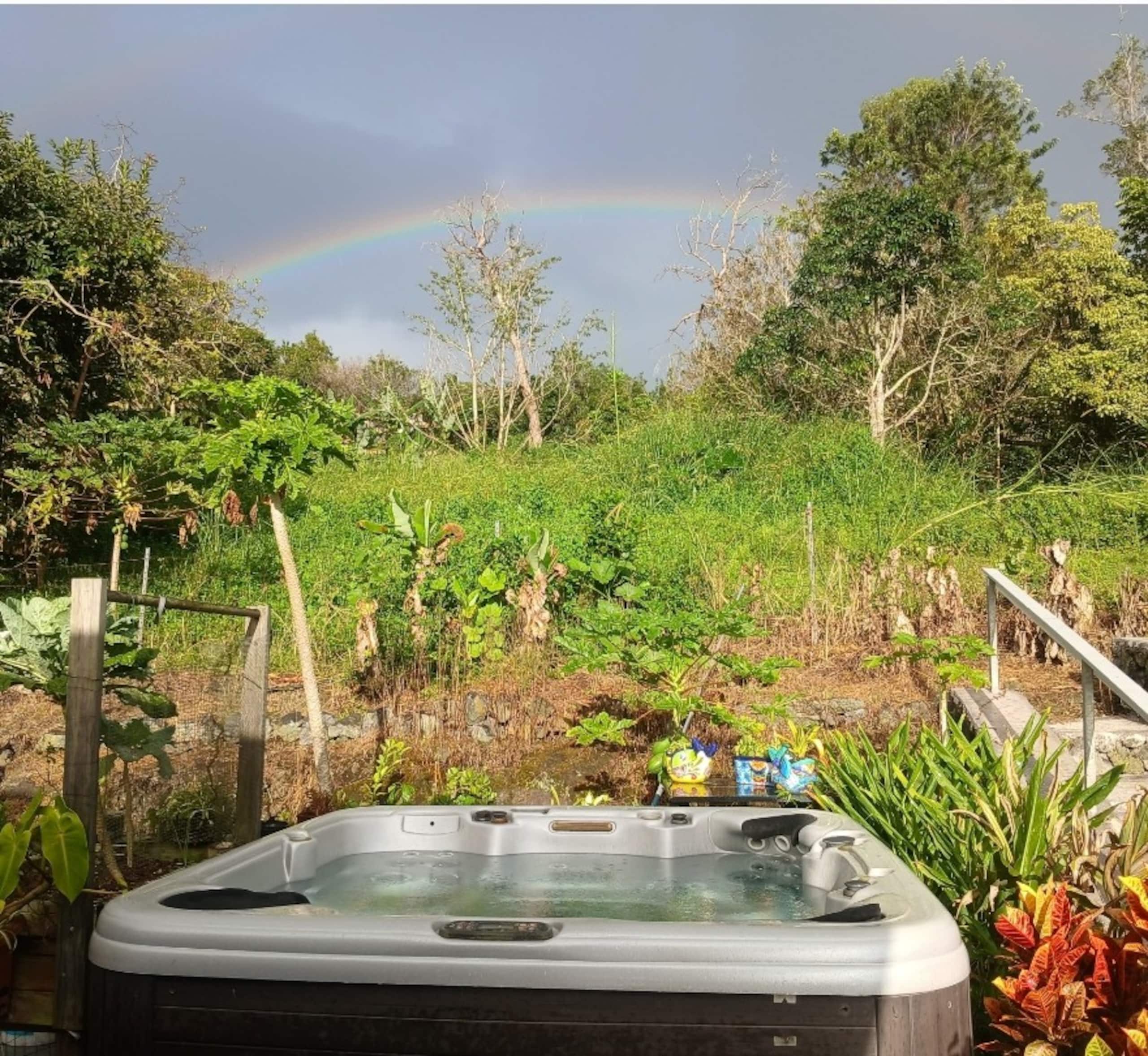 Zen Orchid retreat, amazing view, fresh fruit! :) - Photo 15