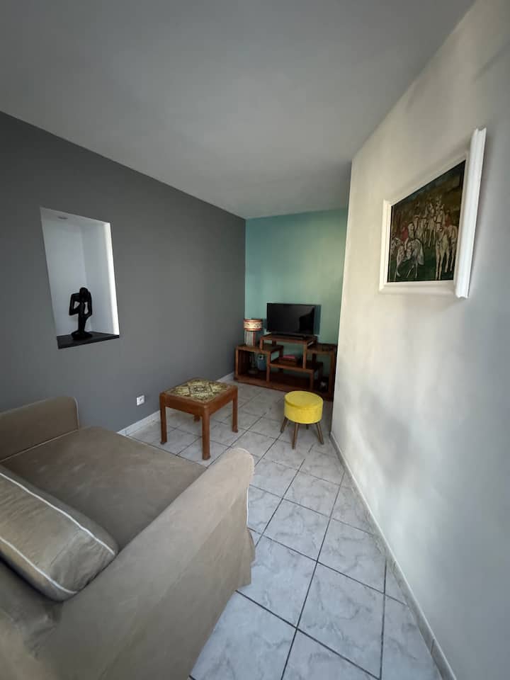 Appartement De Plain-pied Avec Jardin Dédié - Pamiers