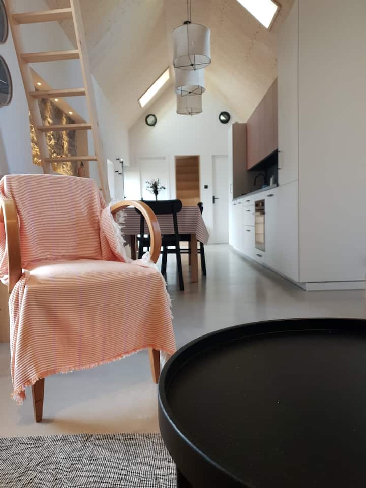 Logement Insolite Au Bourg De L'île D'ouessant - Ouessant