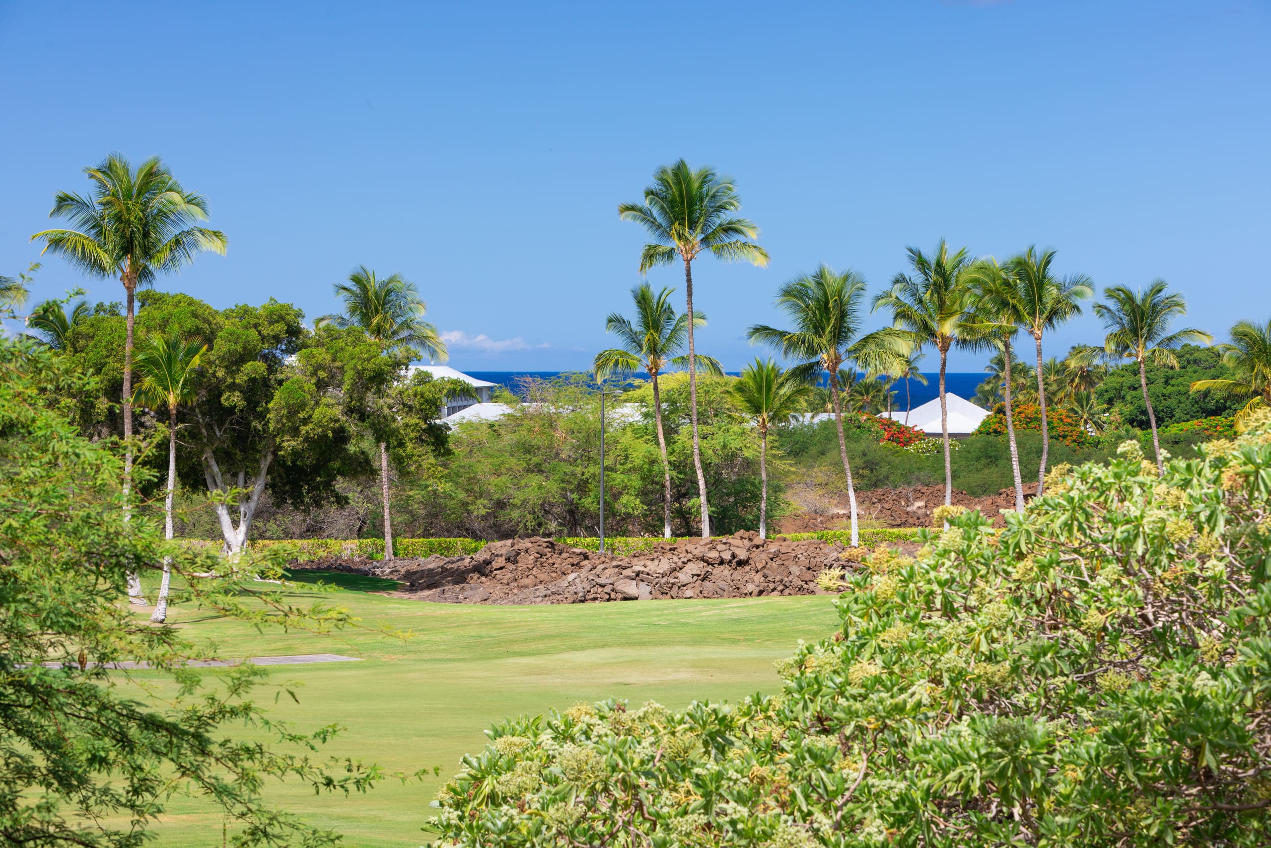 Home in Waimea · ★5.0 · 4 bedrooms · 8 beds · 3 private baths - Image 47