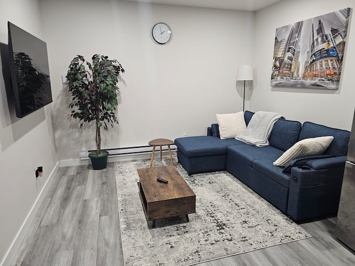Brand New Fully Furnished Suite - 雷吉納