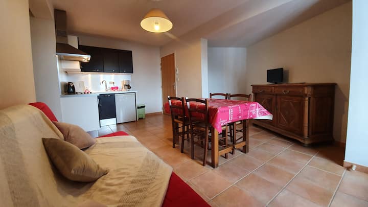 Appartement 2 Pièces - Pra-Loup