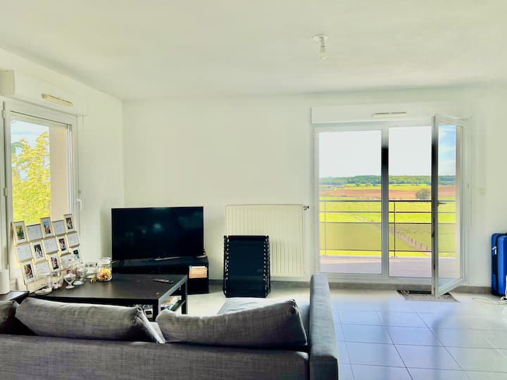 Appartement Calme Entre Luxembourg Et Cattenom - Bad Mondorf