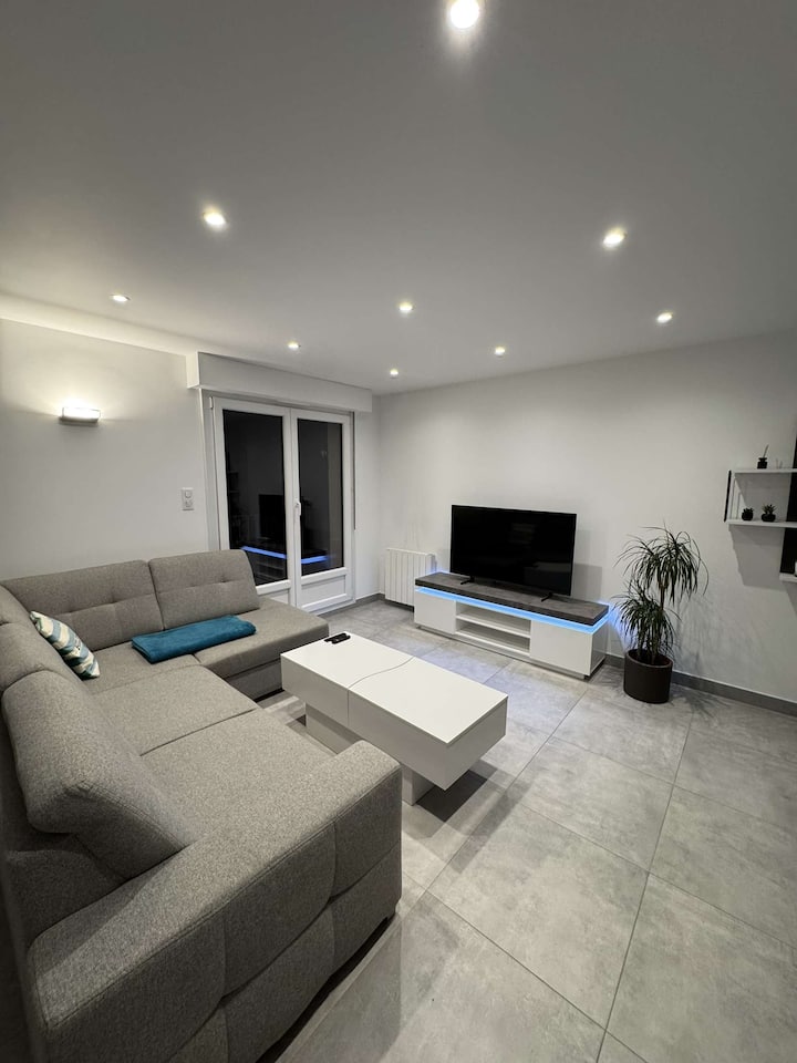 Superbe 2 Pièces, Moderne Et Lumineux - Lingolsheim