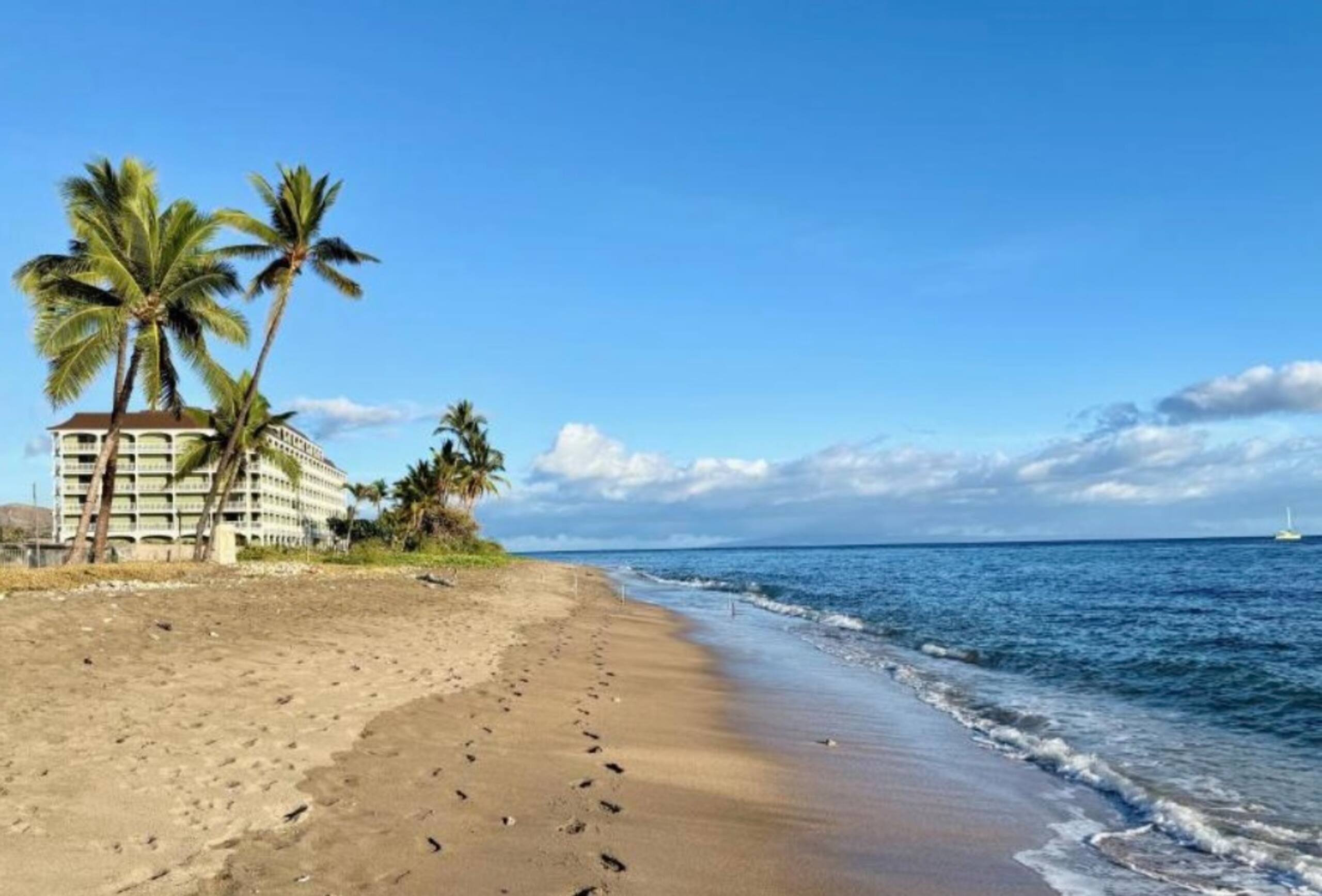 Lahaina Shores Maui Dream Beachfront Ocean Views - Image 39