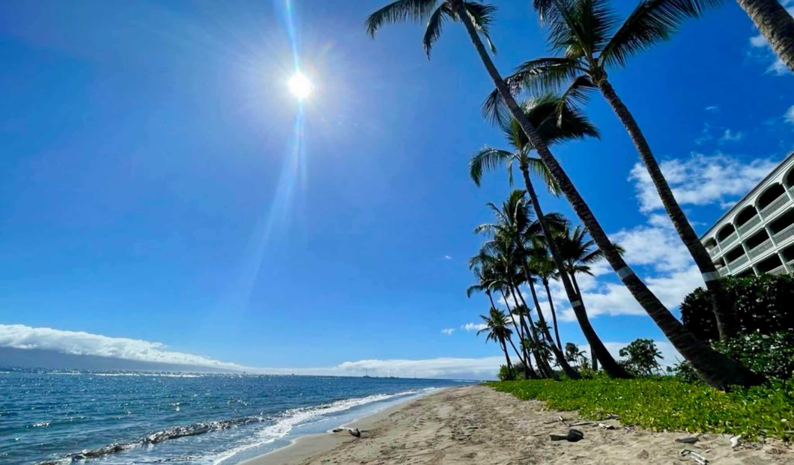 Lahaina Shores Maui Dream Beachfront Ocean Views - Image 37