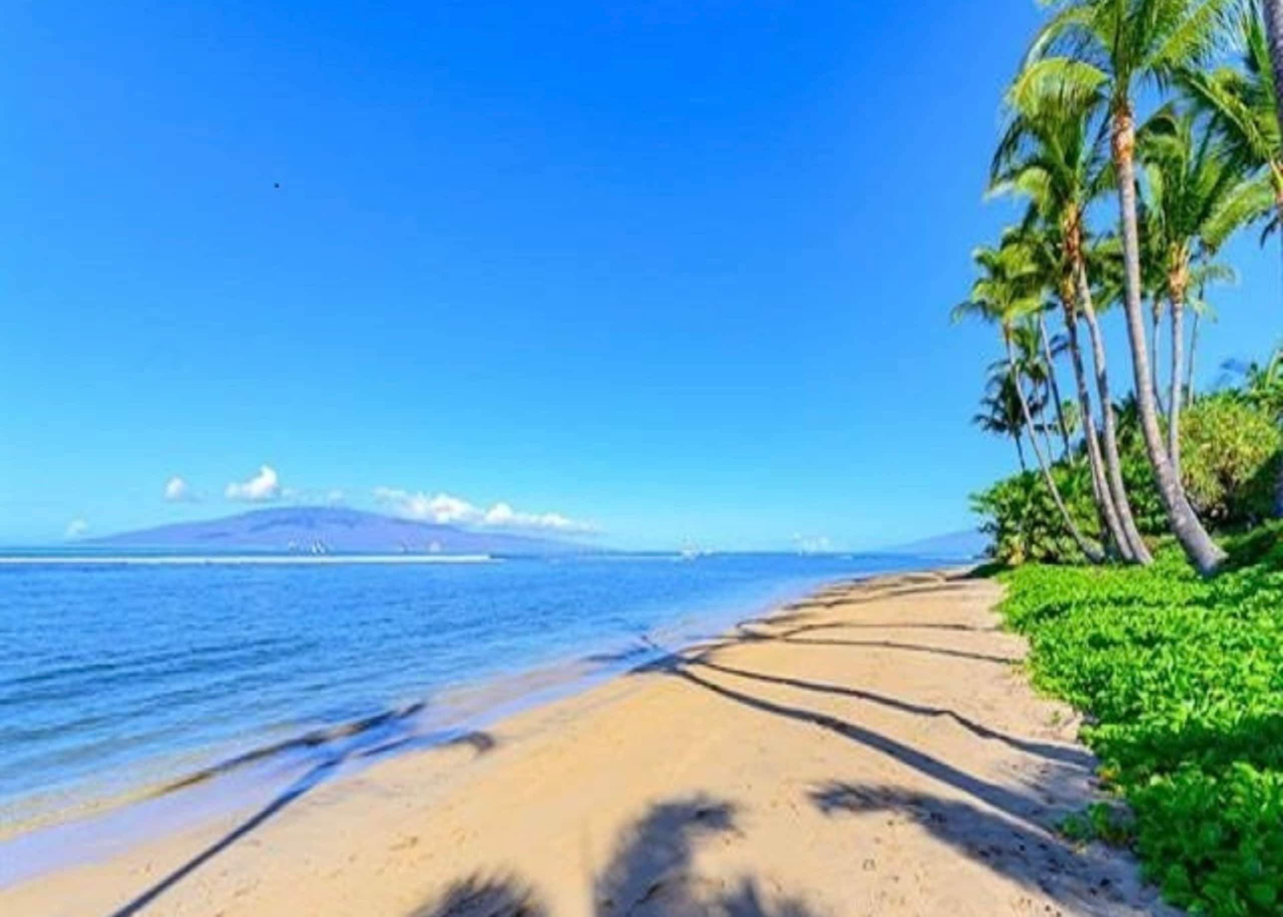 Lahaina Shores Maui Dream Beachfront Ocean Views - Image 43