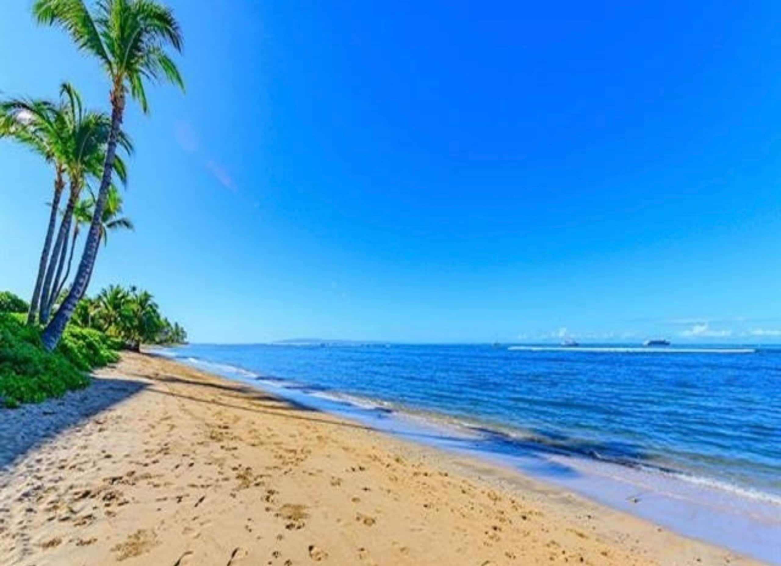 Lahaina Shores Maui Dream Beachfront Ocean Views - Image 42