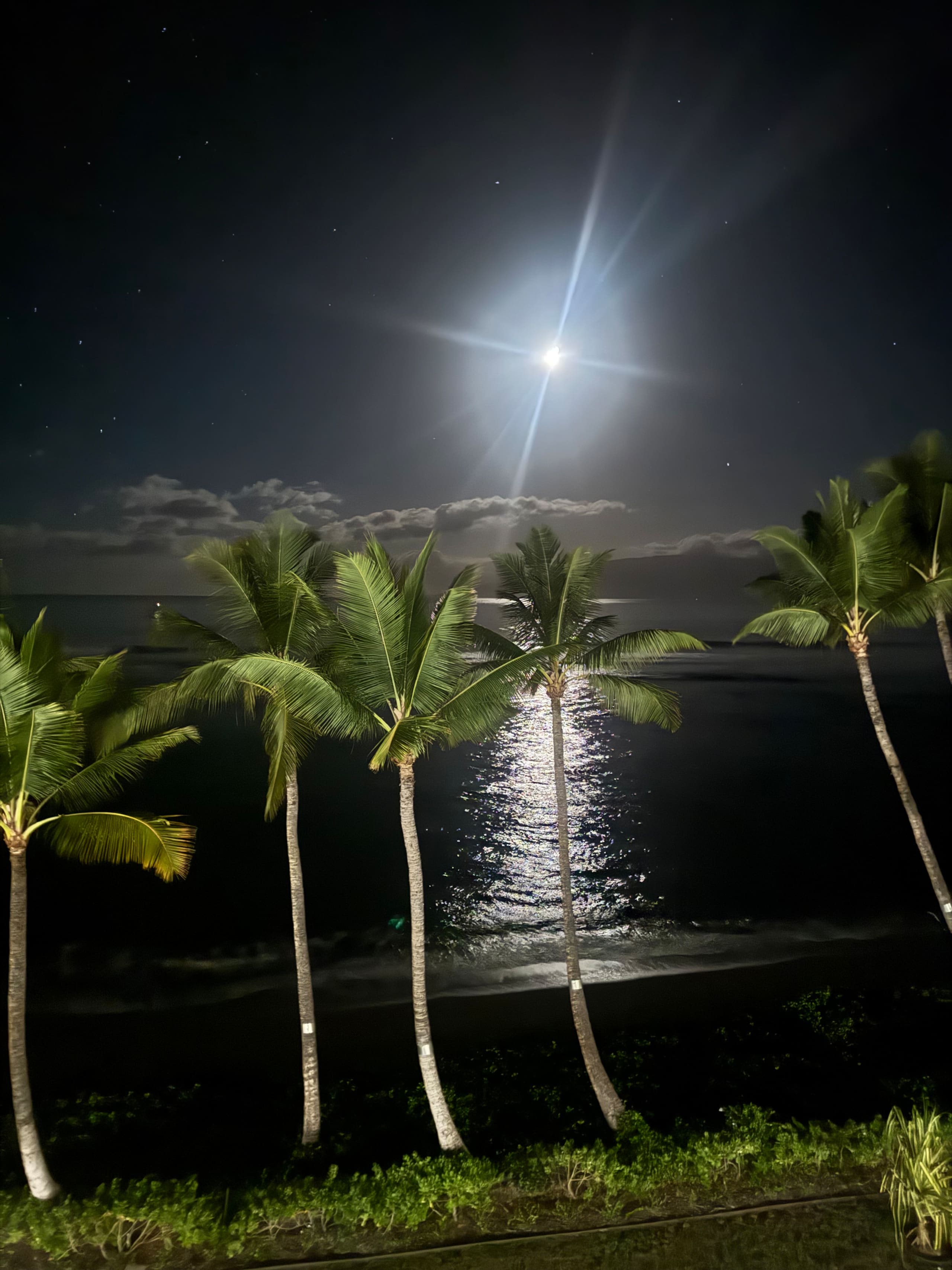 Lahaina Shores Maui Dream Beachfront Ocean Views - Image 8