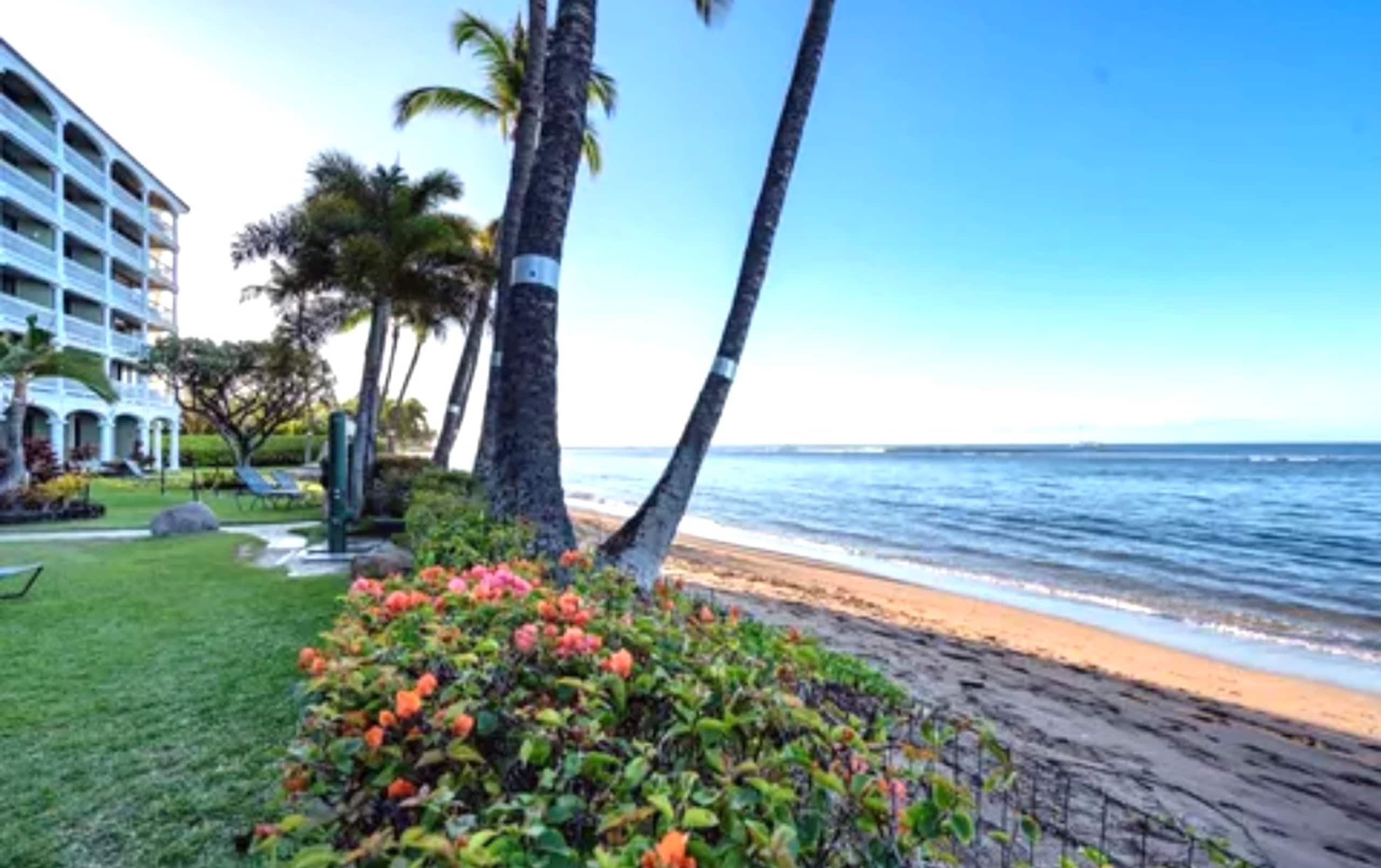 Lahaina Shores Maui Dream Beachfront Ocean Views - Image 57