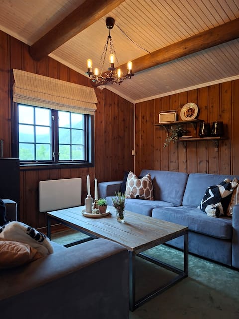 Popular Airbnb listing: Cozy cabin at Tyin Filefjell in Vang