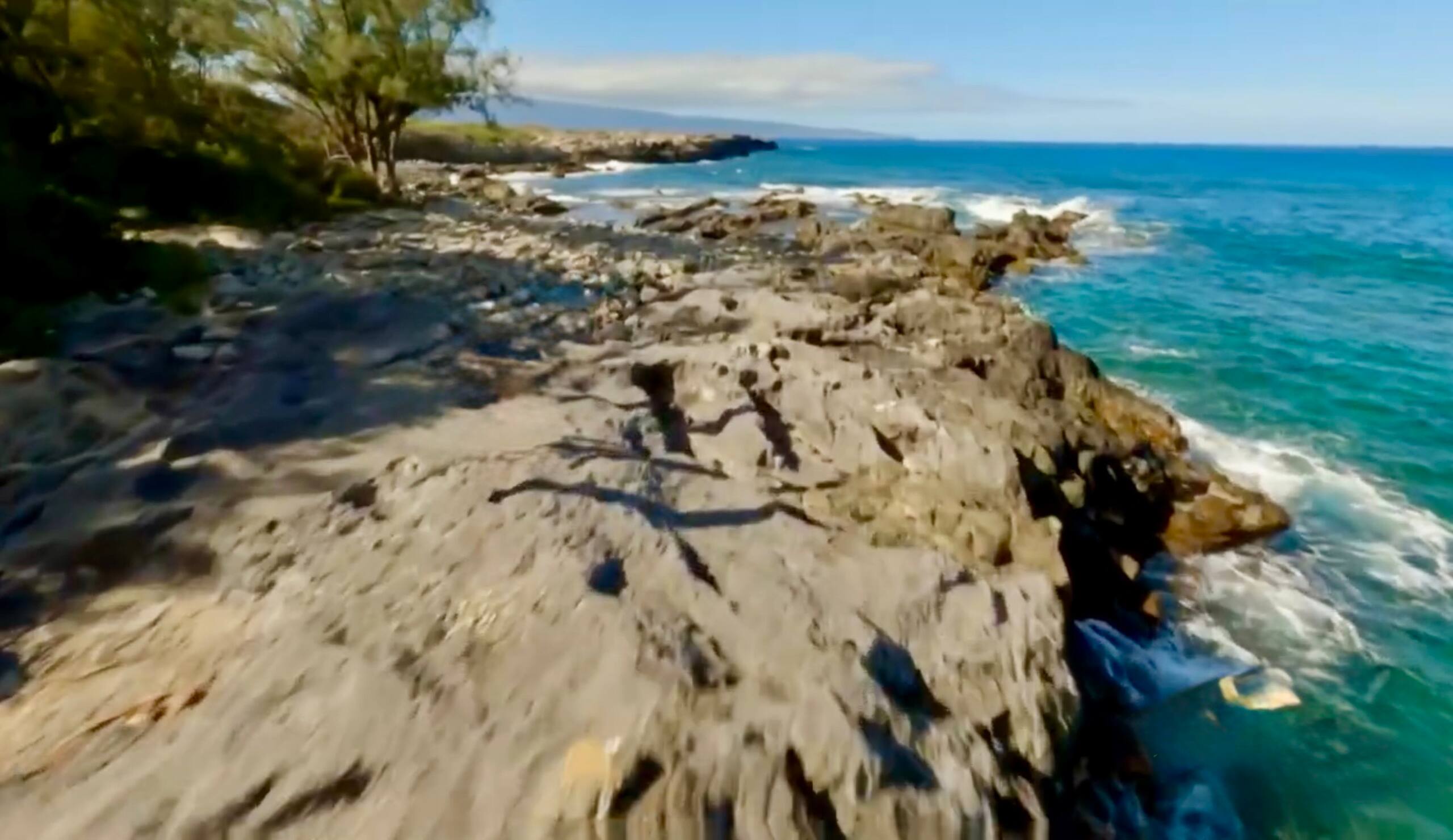 Lahaina Shores Beachfront OceanView TropicalEscape - Image 45