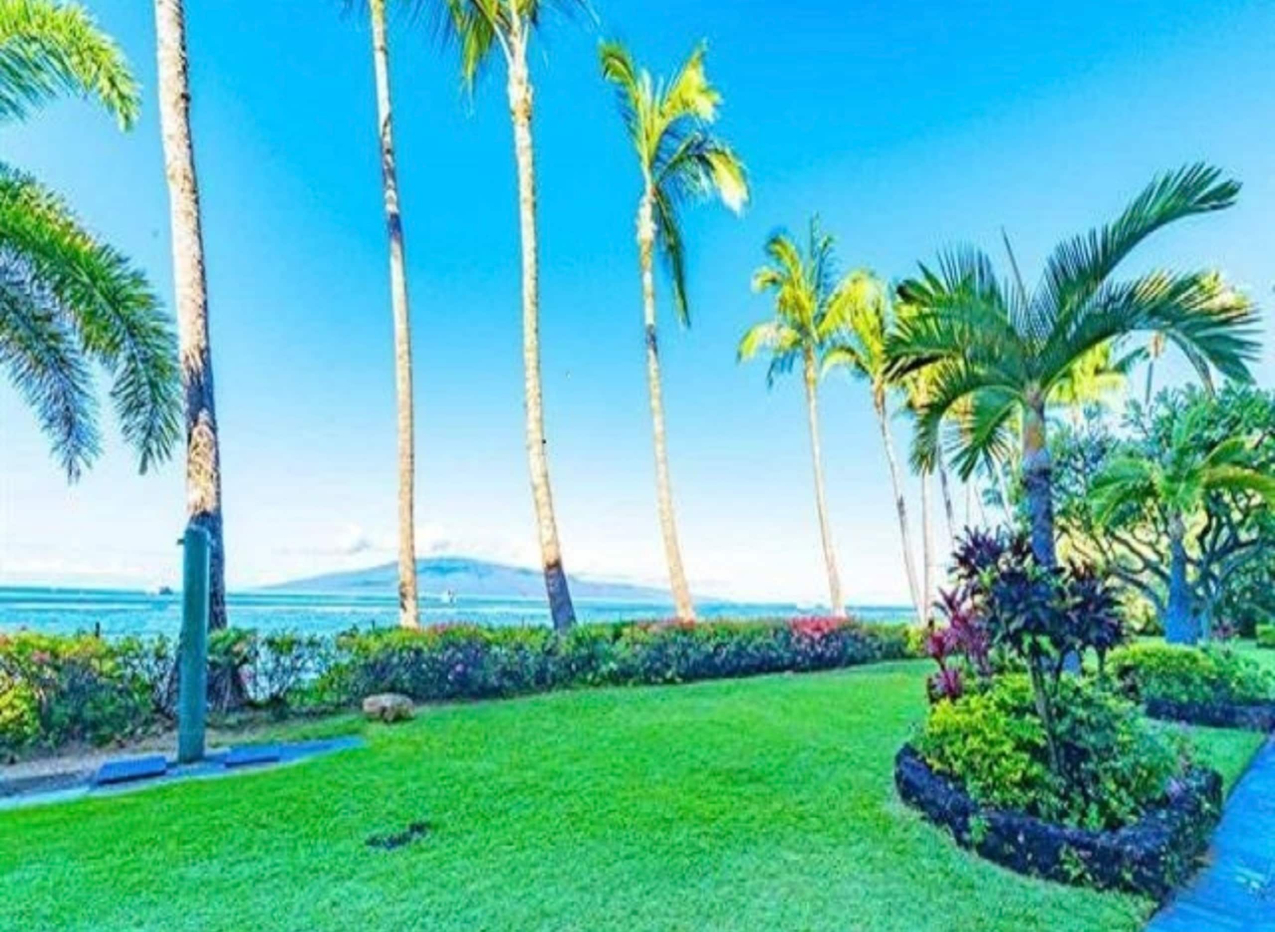 Lahaina Shores Beachfront OceanView TropicalEscape - Image 57