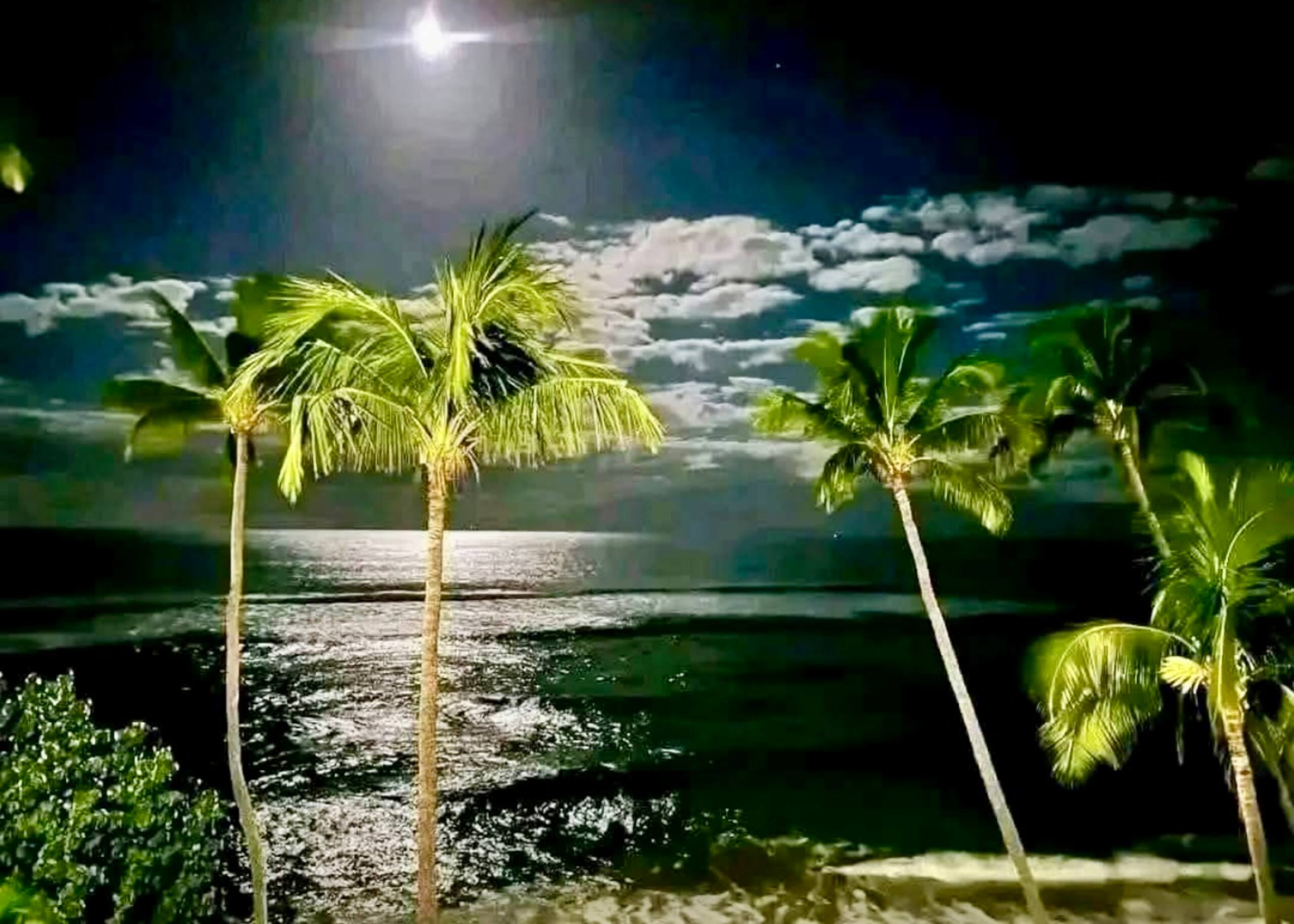 Lahaina Shores Beachfront OceanView TropicalEscape - Image 68