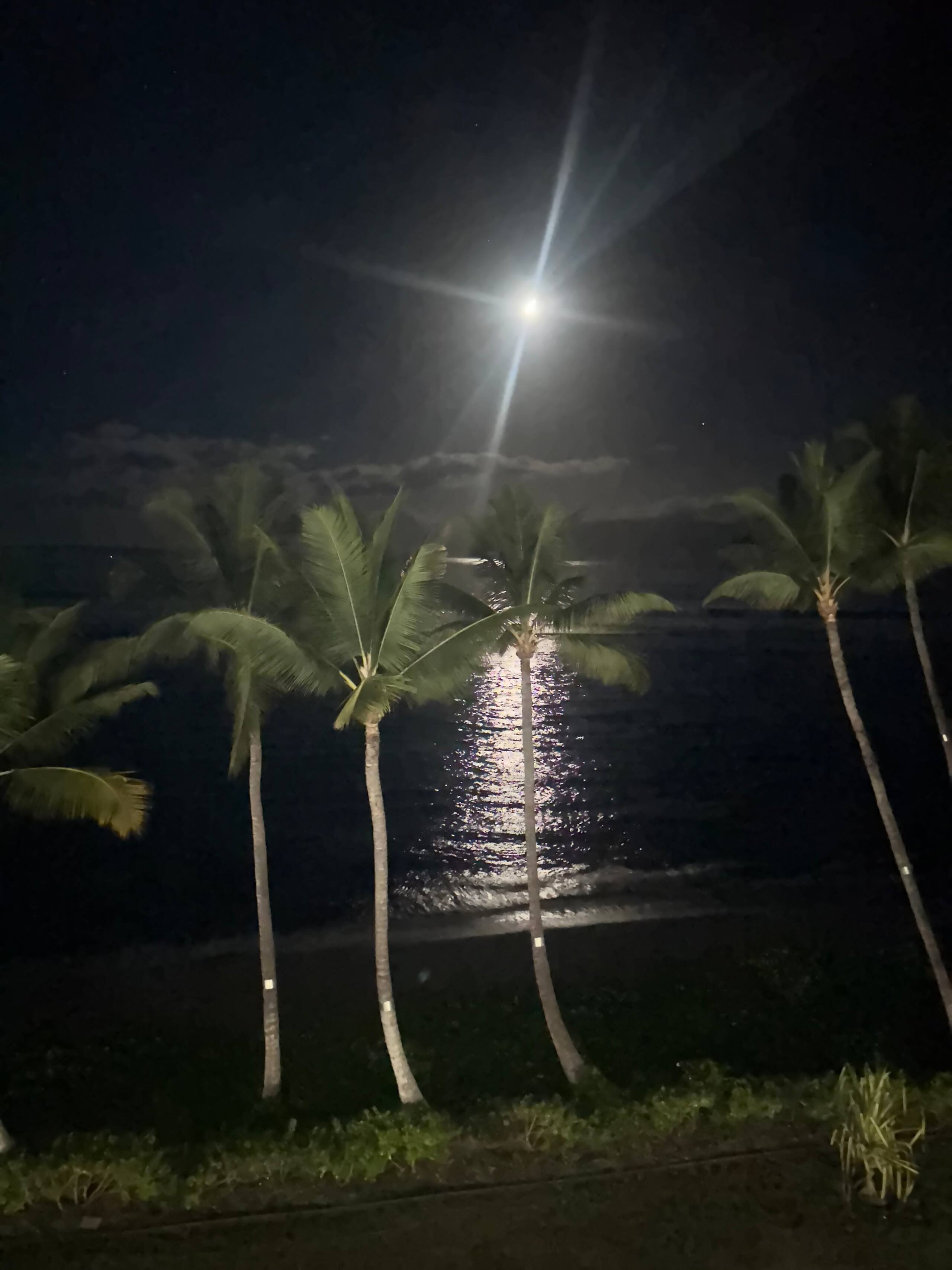 Lahaina Shores Beachfront OceanView TropicalEscape - Image 52