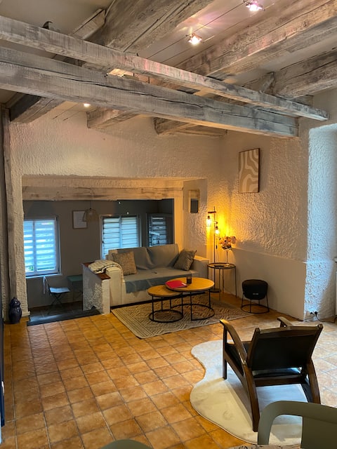 Top performing Airbnb: The lion's cocoon in Belfort