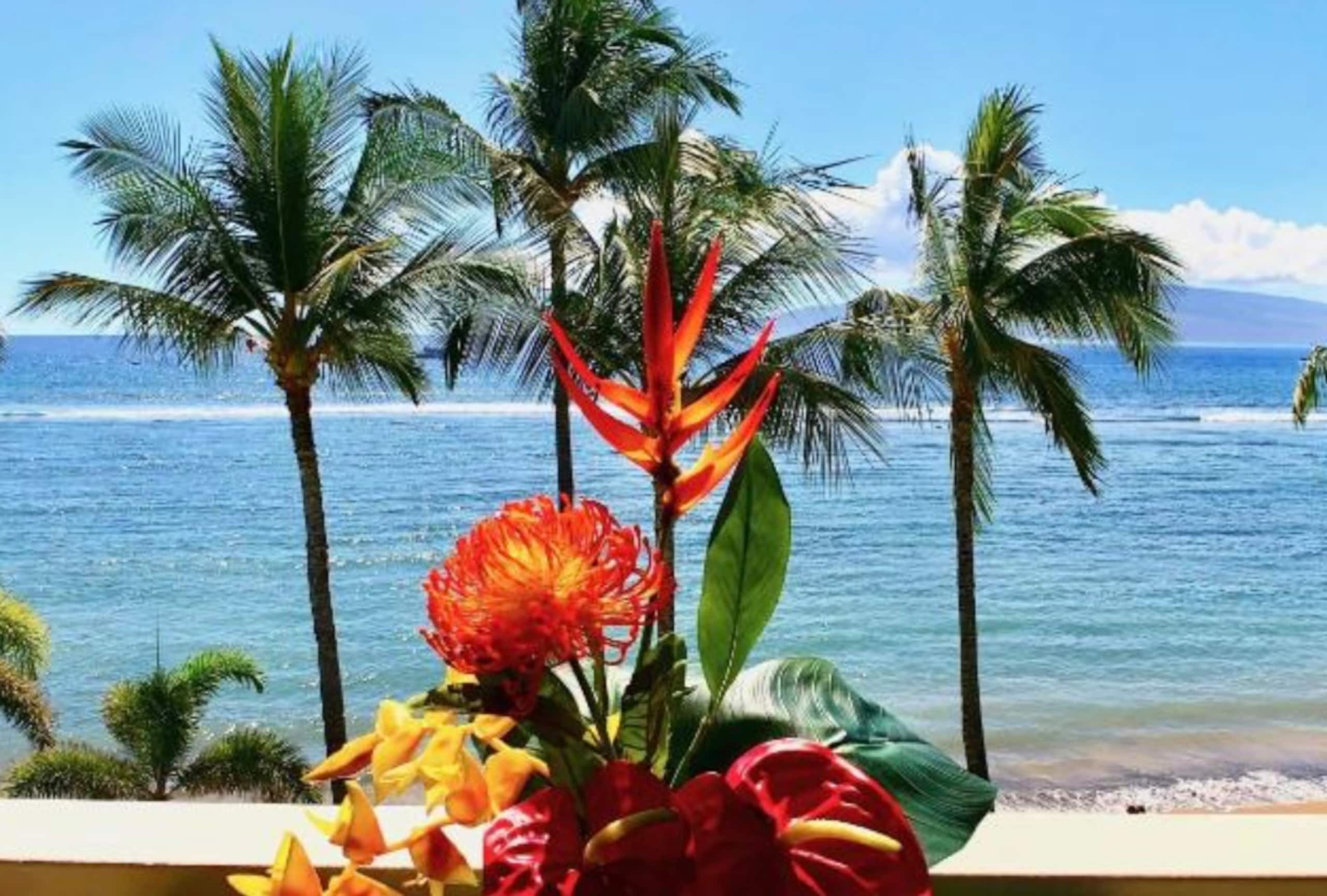 Lahaina Shores Luxe Beachfront Ocean View 2 Lanais - Image 60