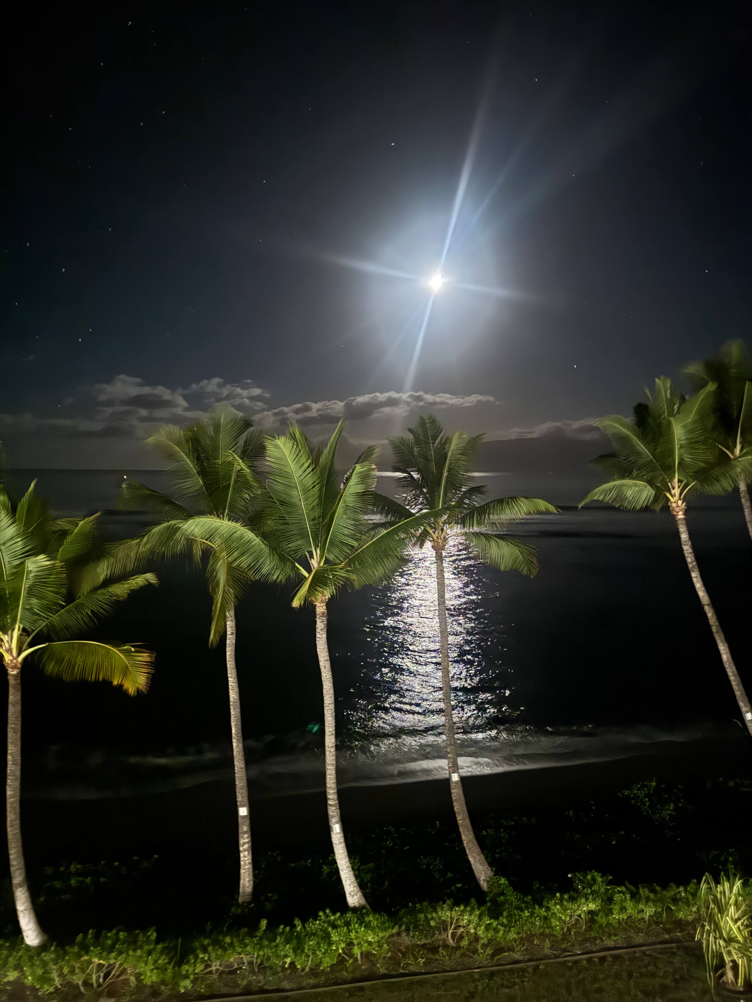 Lahaina Shores Luxe Beachfront Ocean View 2 Lanais - Image 71