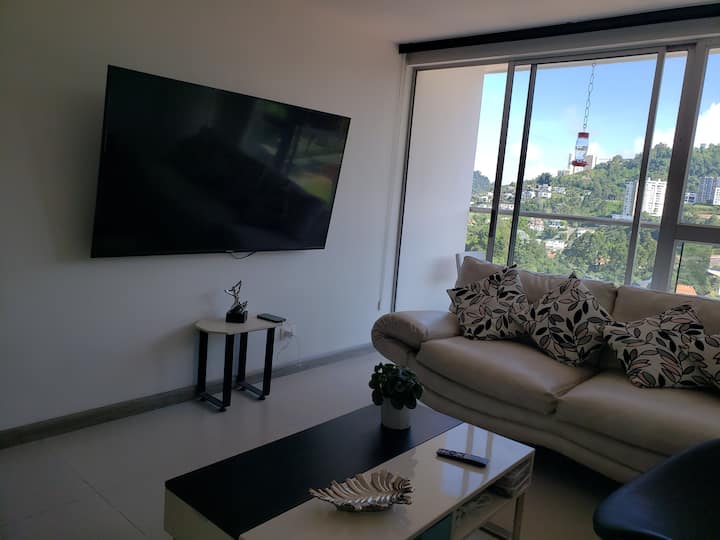 Acogedor Apartamento 2 Alcobas Estancias Largas - Manizales