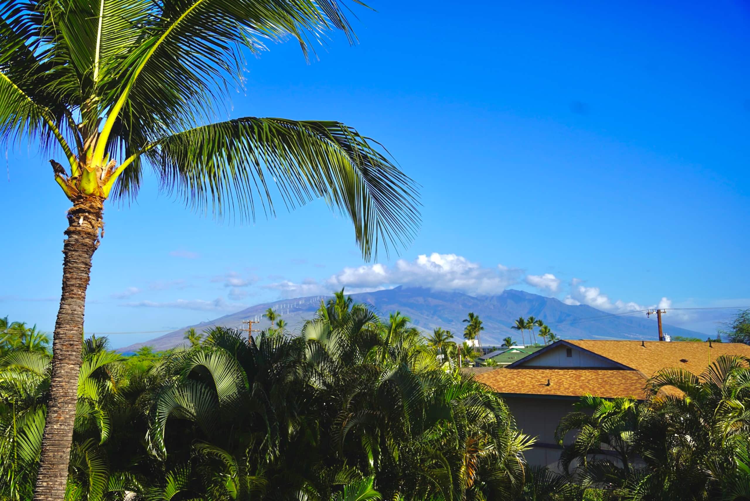 Partial Ocean View King Condo at Maui Vista Kihei - Photo 34