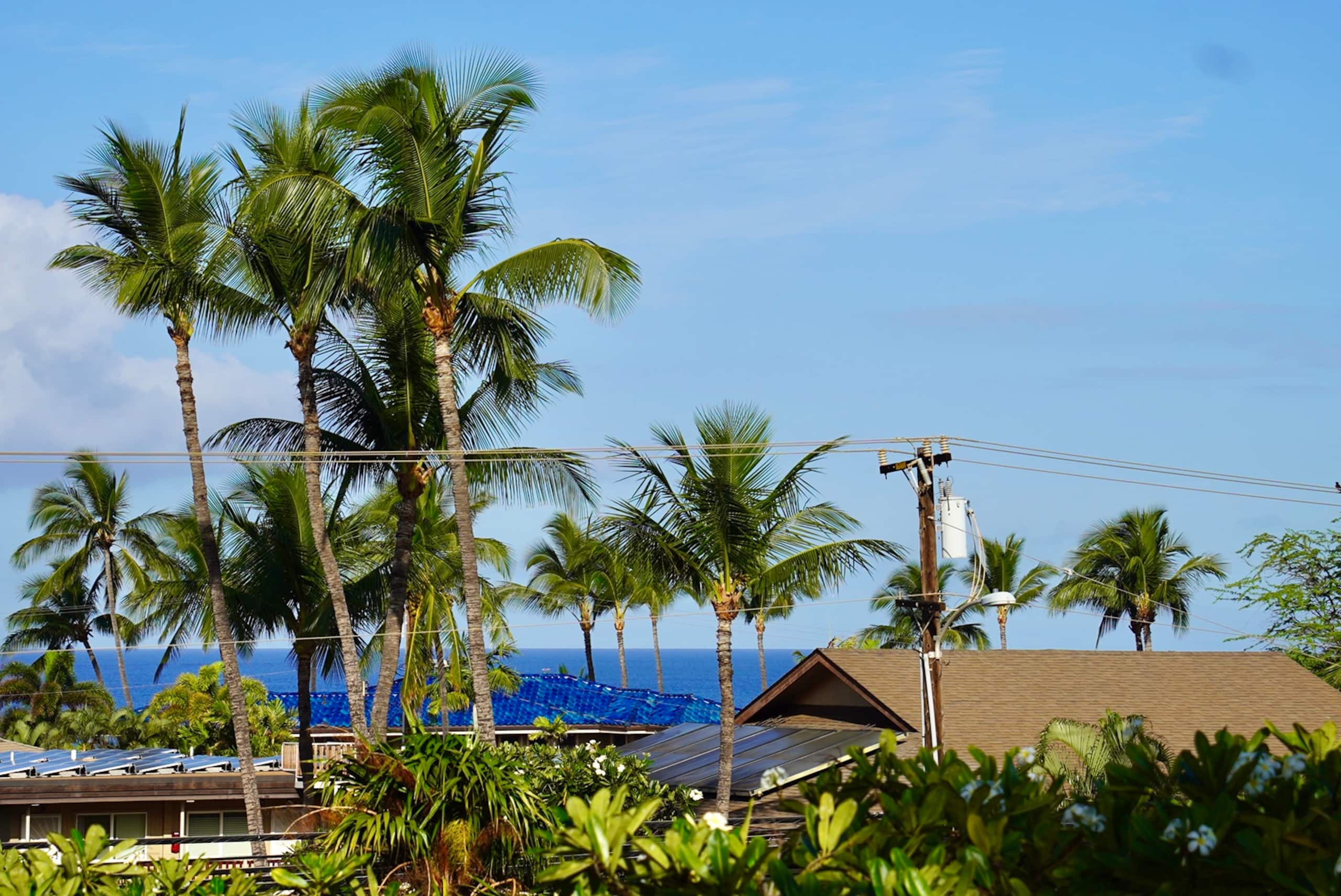 Partial Ocean View King Condo at Maui Vista Kihei - Photo 29