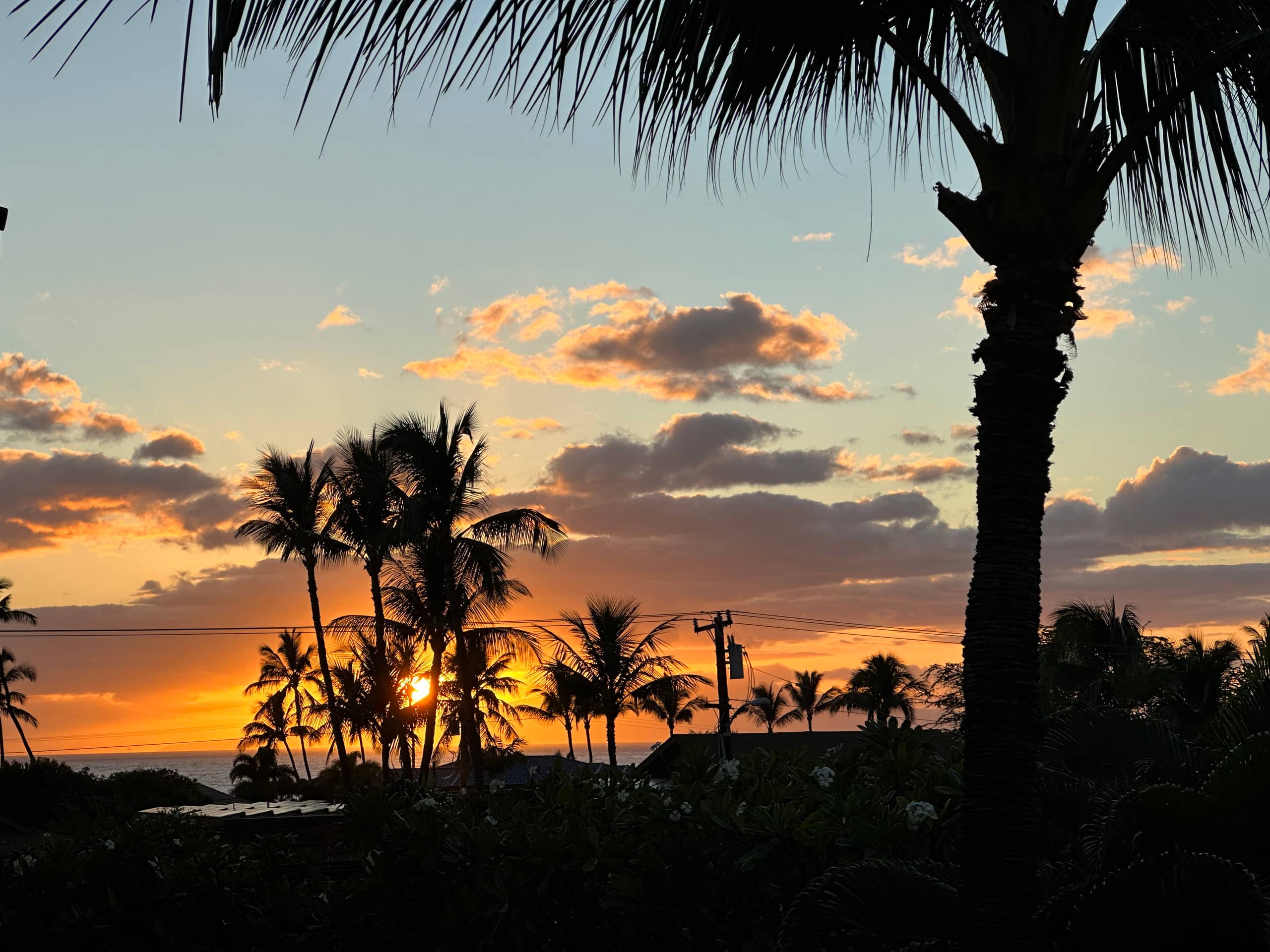 Partial Ocean View King Condo at Maui Vista Kihei - Photo 35