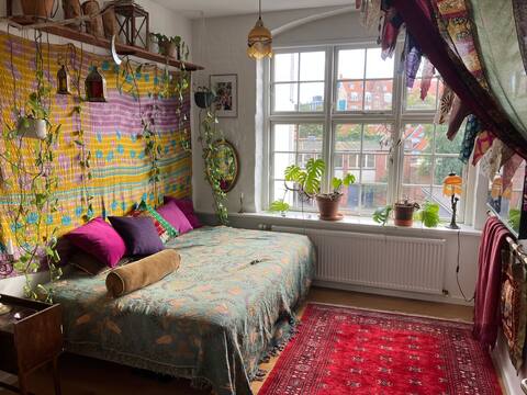 Successful Airbnb property: Bohemian home in the center in Midtbyen