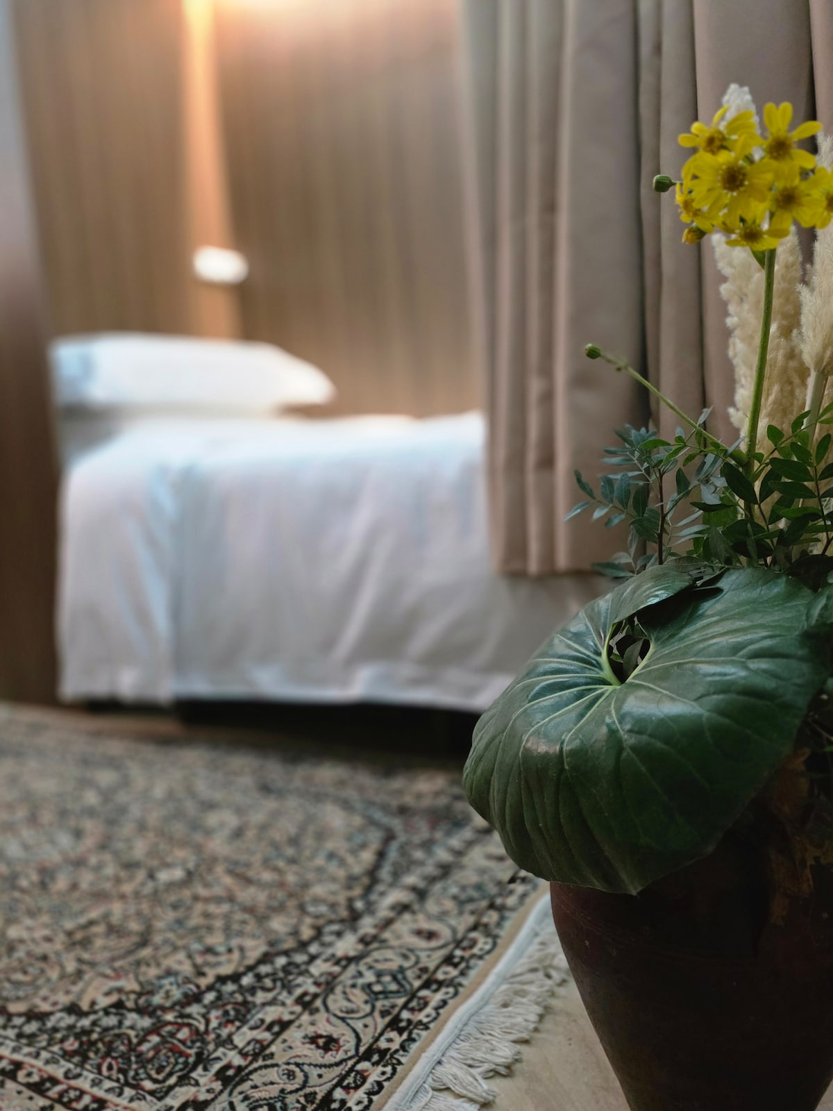 Riad in Casablanca  45  1 bedroom  11 beds  3 shared baths - image 2