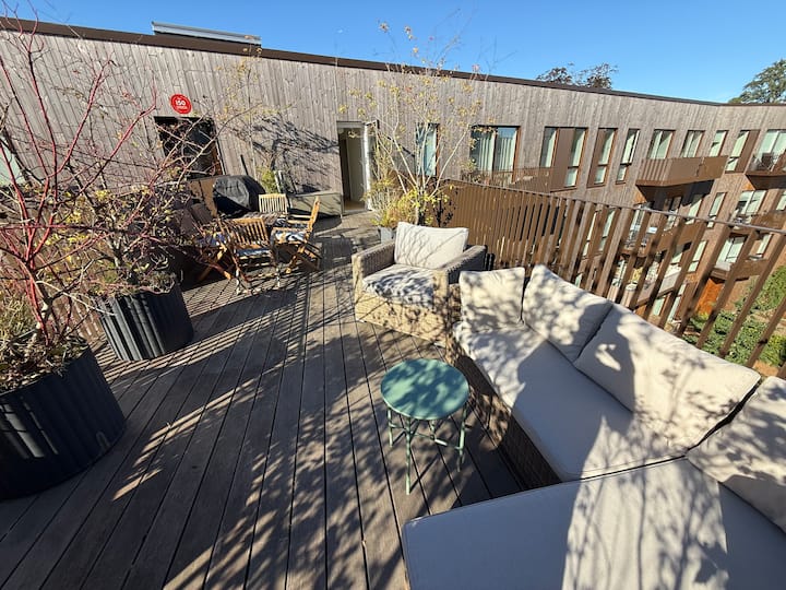Apartment with private roof terrace - Apartments for Rent in Copenhagen ...